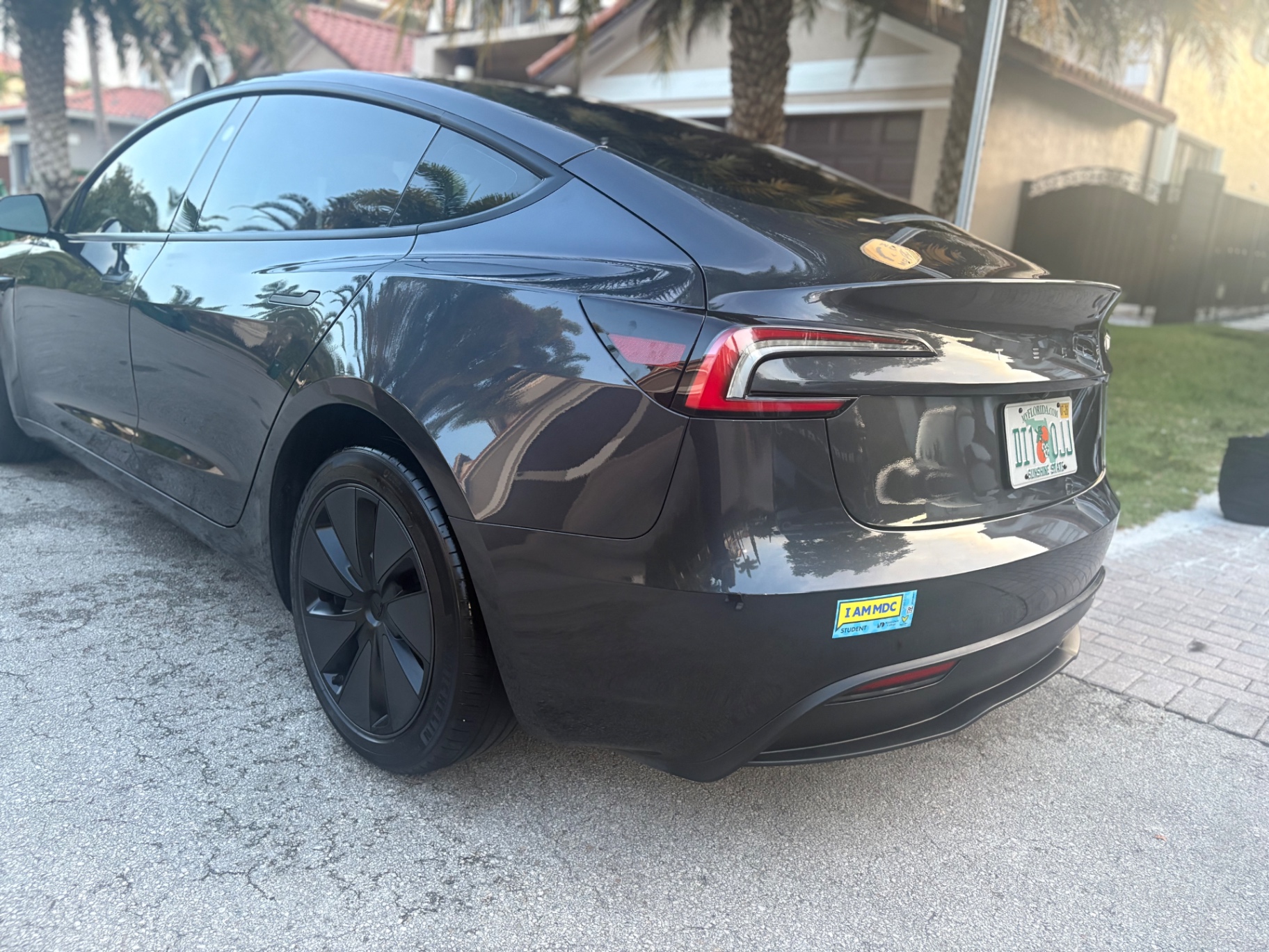 Velvet Shine Detail — Tesla Model 3