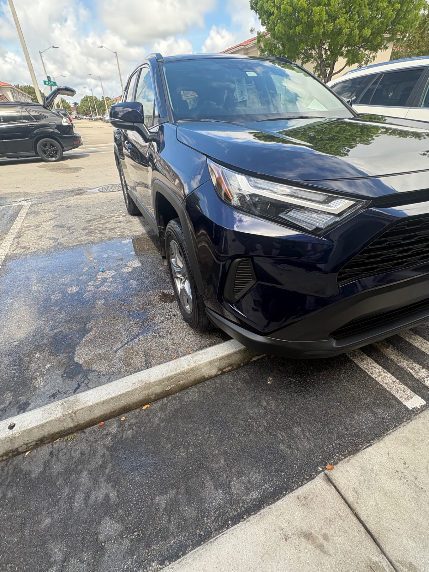 Velvet Shine Detail — Toyota RAV4